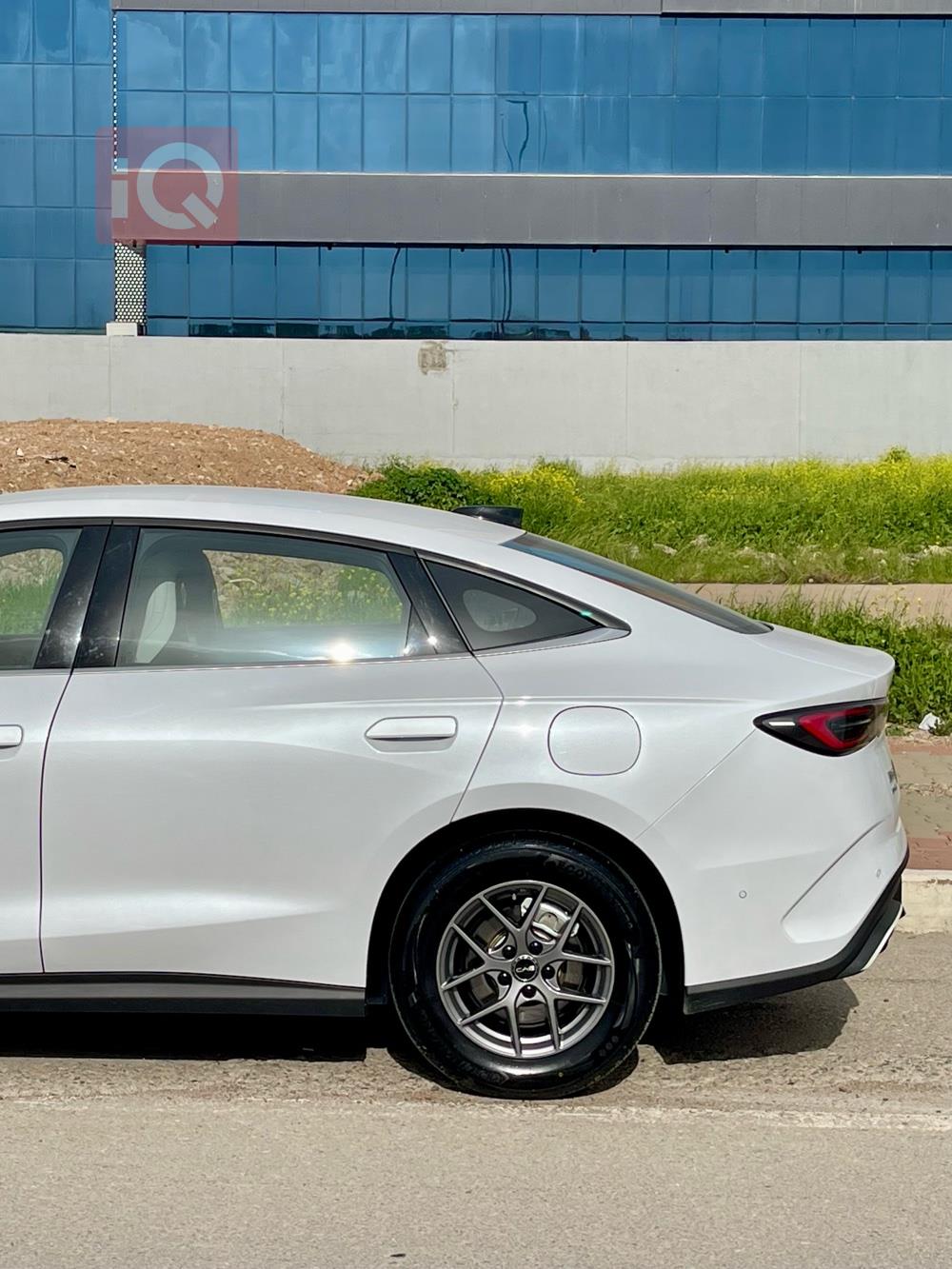 بي واي دي سيل 06 DM-i